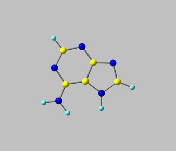 腺嘌呤分子上灰色孤立