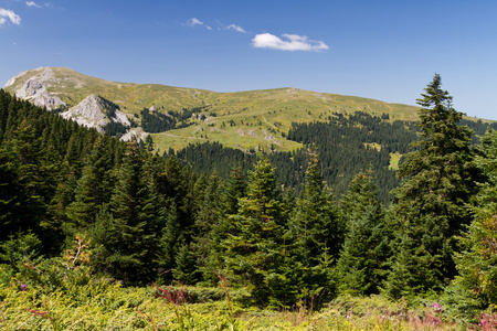 ilgaz 山脉，努土耳其