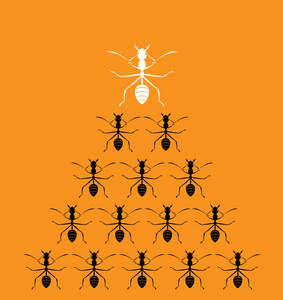 橙色领导矢量图像的橙色背景上的蚂蚁.领导力的概念照片
