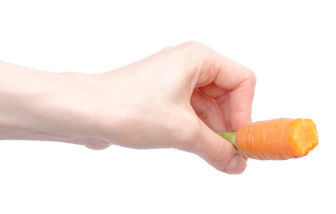 手与孤立的白色背景上的橙色胡萝卜