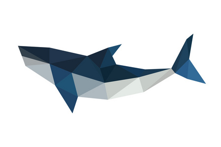 折纸鲨鱼