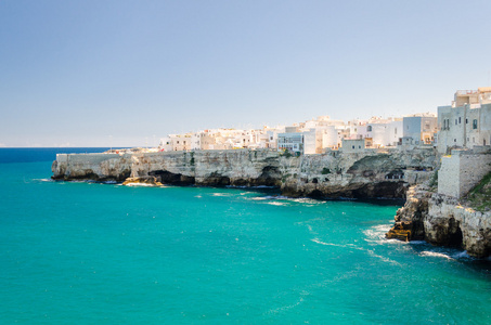 普利亚区 polignano 一匹母马