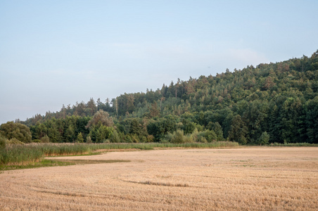 农村风景