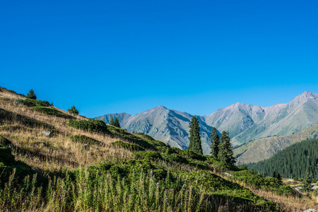 天山山脉在阿拉木图