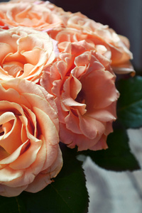 杏玫瑰的美丽婚礼花束
