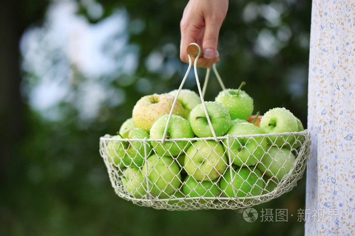 女孩抱着篮子里的苹果在户外