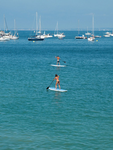 sup 桨在海滩冲浪