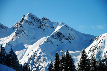 阿尔卑斯山峰覆盖着新鲜的雪落