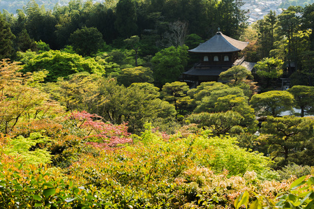 俯瞰京都的银阁寺