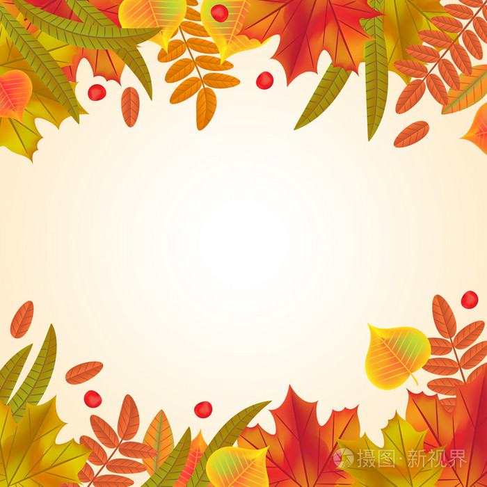 秋天的树叶顶部和底部框架