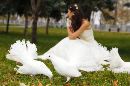 年轻的新娘，与白色的鸽子在公园