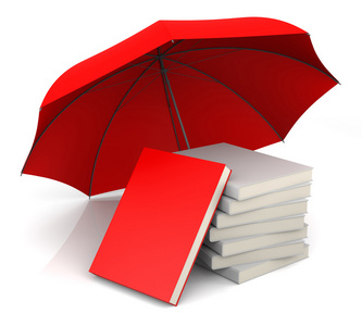 与红伞的红宝书照片