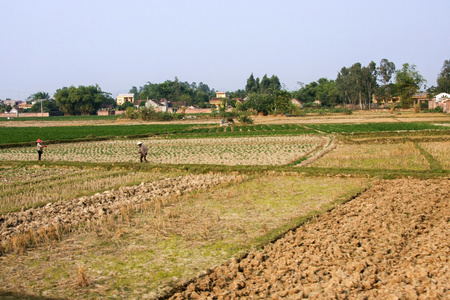 传统的农场土地和家园在越南图片