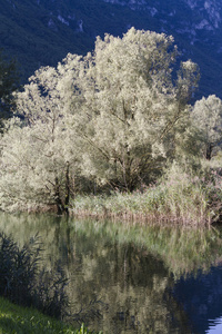 景观湖