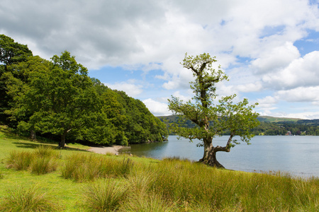 温德米尔湖区国家公园英格兰