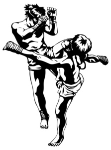 泰拳的战斗照片