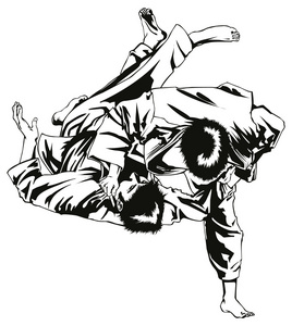 手中夺回柔道的斗争照片