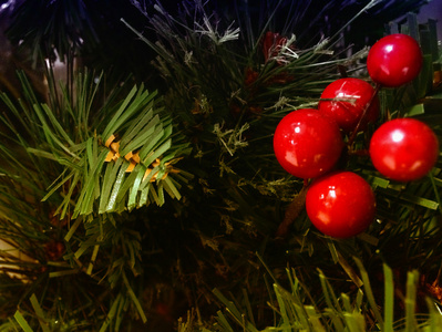 一棵树上的圣诞装饰品