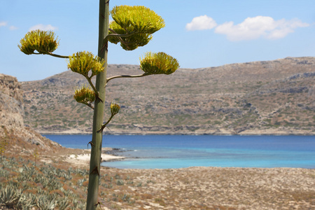 伊梅里格拉普沃萨湾的绿松石海滩。克里特岛。希腊