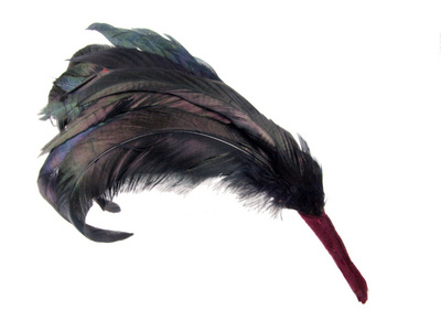 老式帽子 feathers2