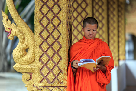 年轻僧人祈祷书照片
