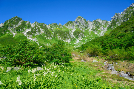 senjojiki 太阳剧团在装载 kisokoma 在长野县，日本