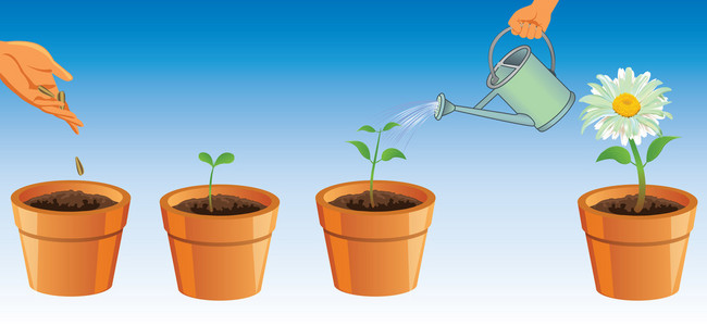 种花插画-种花手绘-种花卡通图-摄图新视界