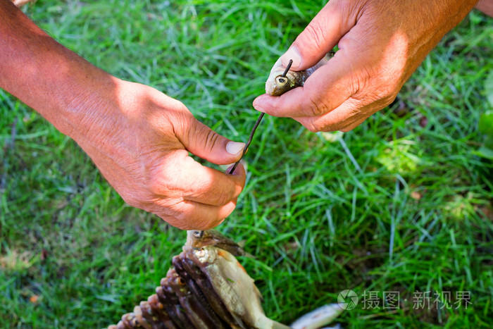 了被抓的抓在手里的鱼的渔夫