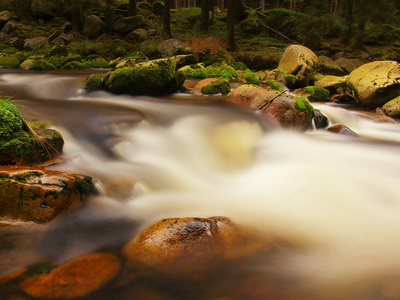 山区河流在森林里的泡沫水中的巨石。光模糊水与思考