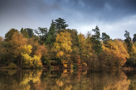 在平静的湖面水域美丽充满活力秋季林地 reflecions
