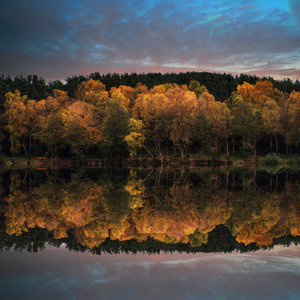 在平静的湖面水域美丽充满活力秋季林地 reflecions
