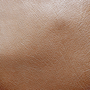 真皮面料图片