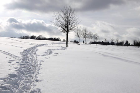 白雪皑皑的冬季风景