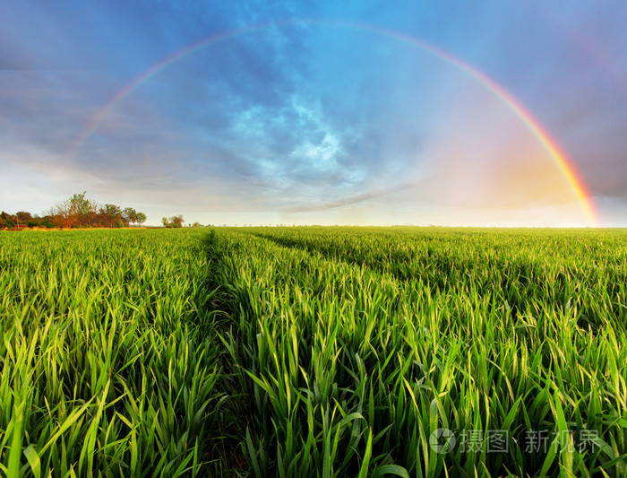 绿色领域与彩虹