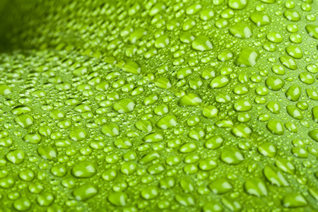 在绿色的植物叶上的水滴