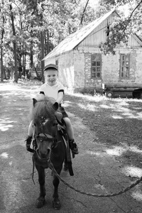 小男孩骑着小马