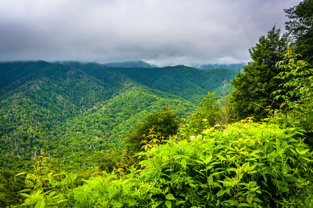 阿巴拉契亚山脉，从新发现的差距居留权的壮观景色