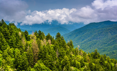 阿巴拉契亚山脉，从新发现的差距居留权的壮观景色