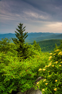 从粗糙的山脊，在没有和 blue ridge 大道附近的夜景