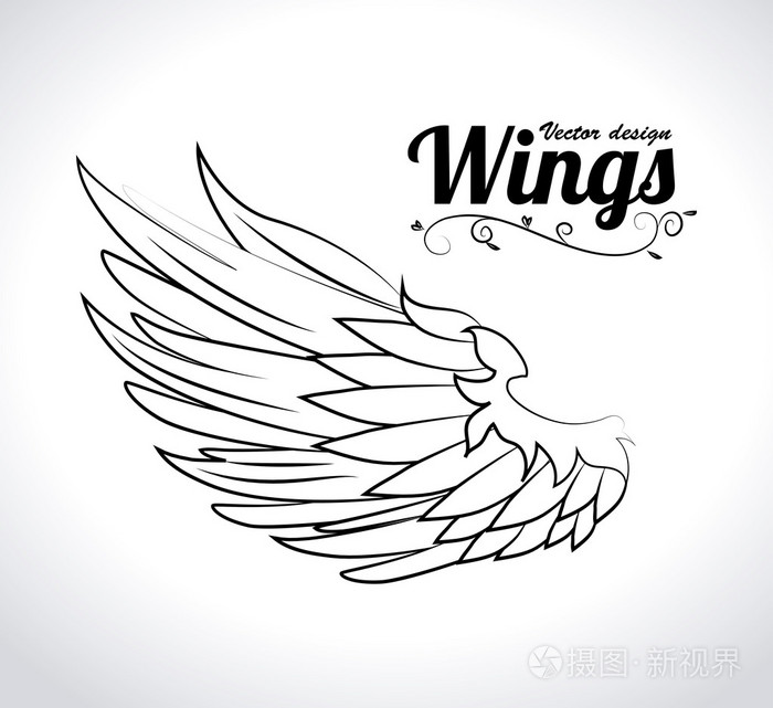 翅膀设计插画-正版商用图片1gl7qp-摄图新视界
