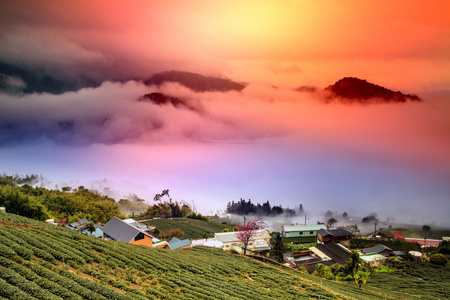 夕阳在山风景