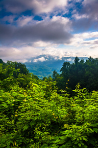 早上从 blue ridge 大道，北卡罗莱纳州