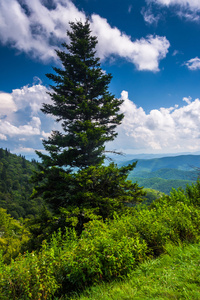 视图从魔鬼法院忽视对 blue ridge 大道