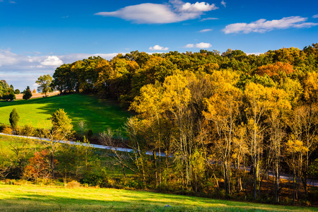 秋天的颜色，在农村约克县，宾夕法尼亚州