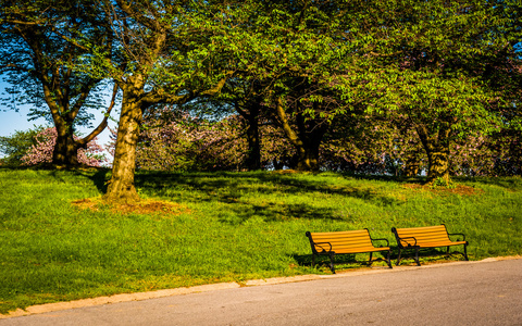 lavice podl cesty na druida hill park, v baltimore, maryland