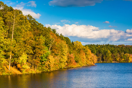 莱克威廉斯，约克，宾夕法尼亚州附近的早期秋天颜色