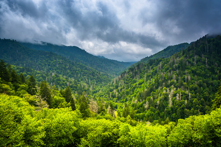 阿巴拉契亚山脉，从新发现的差距居留权的壮观景色