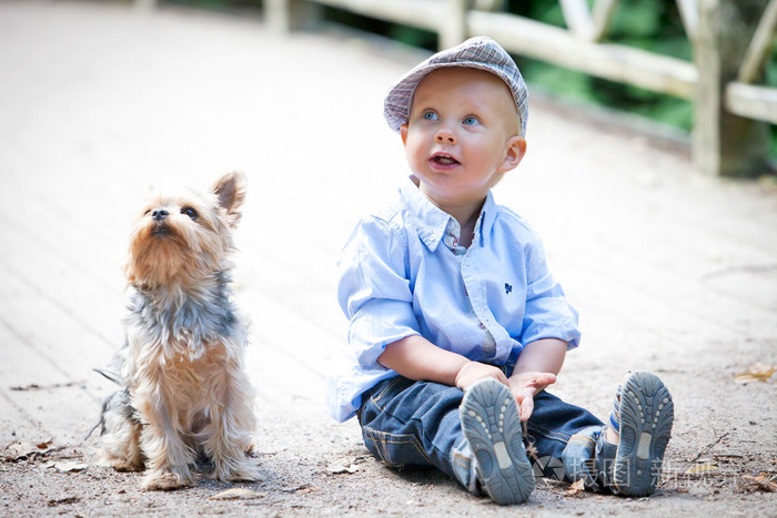 小男孩与狗