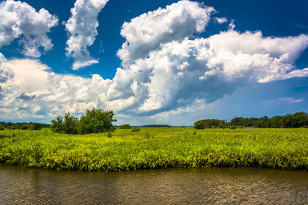 座河，在座州立公园，佛罗里达州的沼泽地区