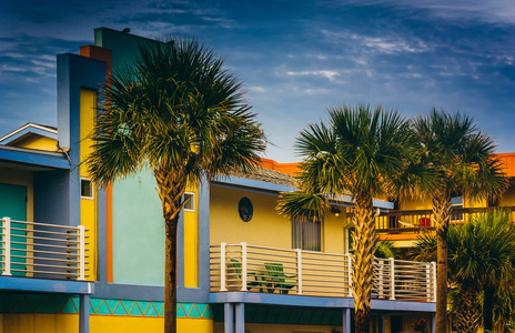 棕榈树和富丽堂皇的酒店，在 vilano 海滩，佛罗里达州